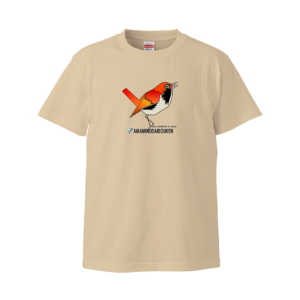 Tシャツ★アカヒゲのさえずり2025(ノーマルフィット)