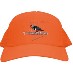 キャップ★やるときはやる