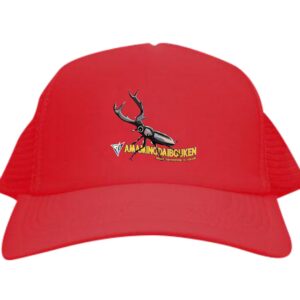 キャップ★どこかでみたエンブレム