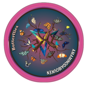 ステッカー★Amami Butterflies